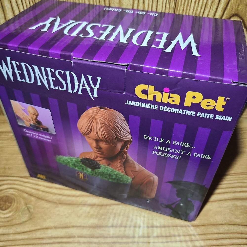 Wednesday Chia Pet decorative planter (NEW)